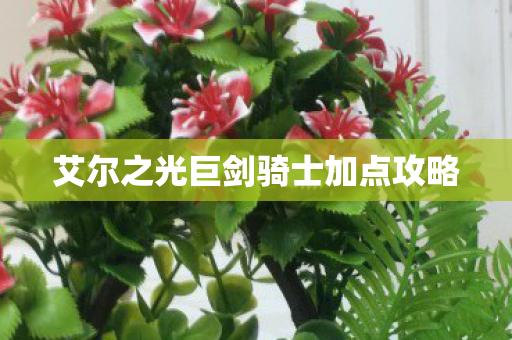 艾尔之光巨剑骑士加点攻略 艾尔之光巨剑骑士加点攻略