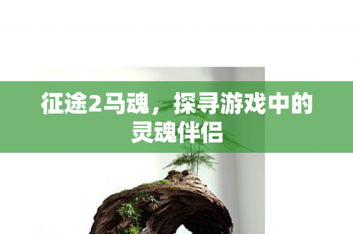 征途2马魂,探寻游戏中的灵魂伴侣 征途2马魂,探寻游戏中的灵魂伴侣