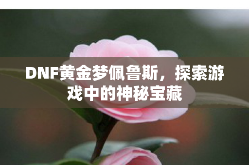 DNF黄金梦佩鲁斯,探索游戏中的神秘宝藏 DNF黄金梦佩鲁斯,探索游戏中的神秘宝藏
