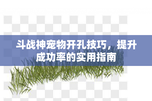 斗战神宠物开孔技巧,提升成功率的实用指南 斗战神宠物开孔技巧,提升成功率的实用指南