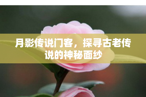月影传说门客,探寻古老传说的神秘面纱 月影传说门客,探寻古老传说的神秘面纱
