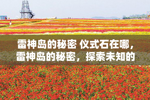 雷神岛的秘密 仪式石在哪，雷神岛的秘密，探索未知的游戏世界