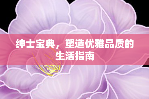 绅士宝典,塑造优雅品质的生活指南 绅士宝典,塑造优雅品质的生活指南