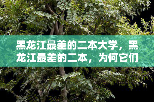 黑龙江最差的二本大学,黑龙江最差的二本,为何它们备受争议? 黑龙江最差的二本大学,黑龙江最差的二本,为何它们备受争议?