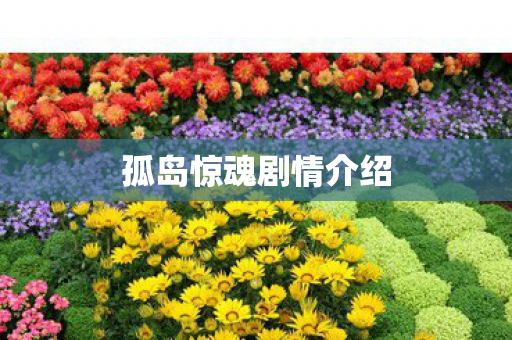 孤岛惊魂剧情介绍 孤岛惊魂剧情介绍
