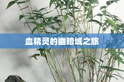 血精灵的幽暗城之旅