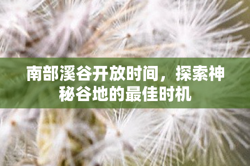 南部溪谷开放时间,探索神秘谷地的最佳时机 南部溪谷开放时间,探索神秘谷地的最佳时机
