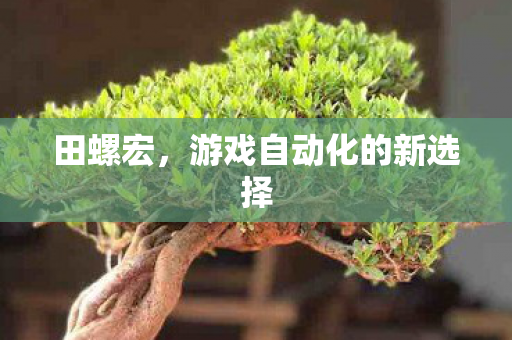 田螺宏,游戏自动化的新选择 田螺宏,游戏自动化的新选择