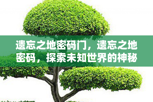 遗忘之地密码门,遗忘之地密码,探索未知世界的神秘之旅 遗忘之地密码门,遗忘之地密码,探索未知世界的神秘之旅