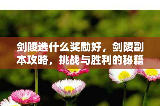 剑陵选什么奖励好,剑陵副本攻略,挑战与胜利的秘籍 剑陵选什么奖励好,剑陵副本攻略,挑战与胜利的秘籍