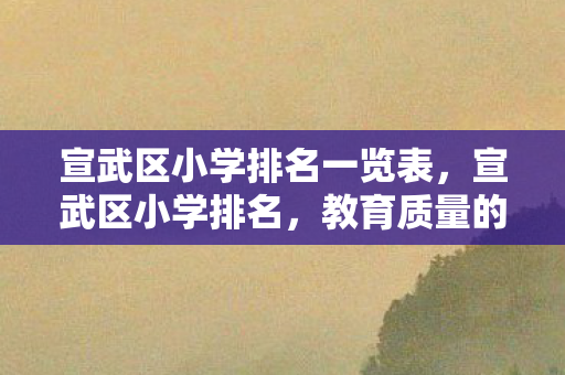 宣武区小学排名一览表,宣武区小学排名,教育质量的衡量与解读 宣武区小学排名一览表,宣武区小学排名,教育质量的衡量与解读
