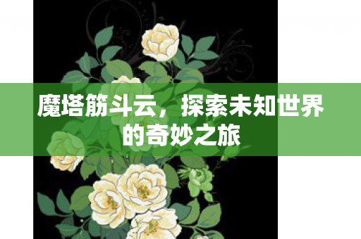魔塔筋斗云,探索未知世界的奇妙之旅 魔塔筋斗云,探索未知世界的奇妙之旅