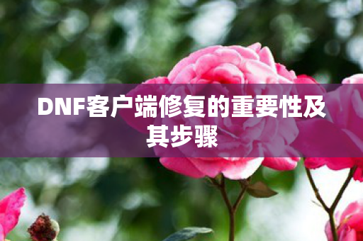 DNF客户端修复的重要性及其步骤 DNF客户端修复的重要性及其步骤