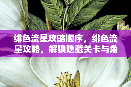 绯色流星攻略顺序,绯色流星攻略,解锁隐藏关卡与角色成长指南 绯色流星攻略顺序,绯色流星攻略,解锁隐藏关卡与角色成长指南