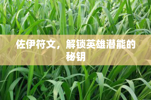 佐伊符文,解锁英雄潜能的秘钥 佐伊符文,解锁英雄潜能的秘钥