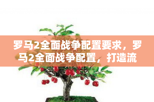 罗马2全面战争配置要求,罗马2全面战争配置,打造流畅游戏体验的硬件指南 罗马2全面战争配置要求,罗马2全面战争配置,打造流畅游戏体验的硬件指南
