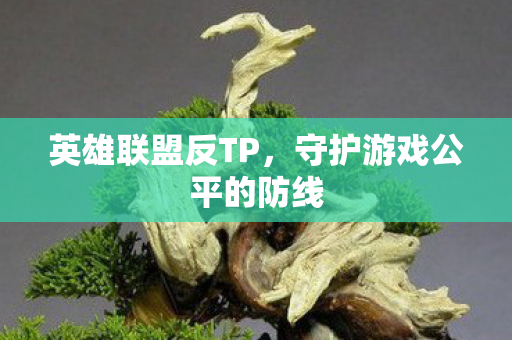 英雄联盟反TP,守护游戏公平的防线 英雄联盟反TP,守护游戏公平的防线