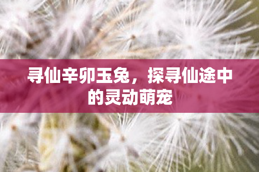 寻仙辛卯玉兔，探寻仙途中的灵动萌宠