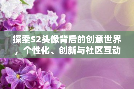 探索S2头像背后的创意世界,个性化、创新与社区互动 探索S2头像背后的创意世界,个性化、创新与社区互动