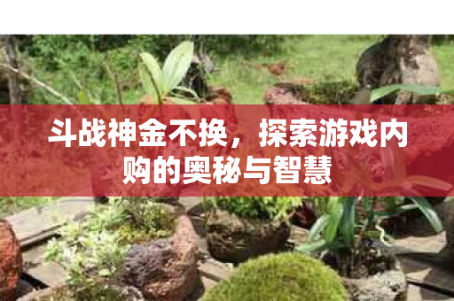 斗战神金不换,探索游戏内购的奥秘与智慧 斗战神金不换,探索游戏内购的奥秘与智慧