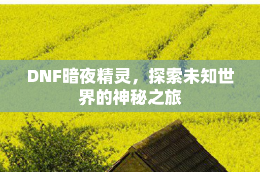 DNF暗夜精灵,探索未知世界的神秘之旅 DNF暗夜精灵,探索未知世界的神秘之旅