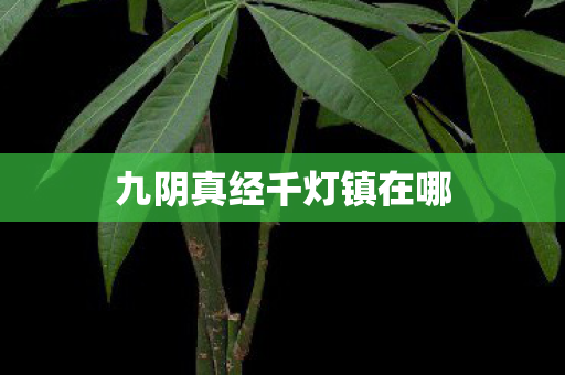 九阴真经千灯镇在哪 九阴真经千灯镇在哪