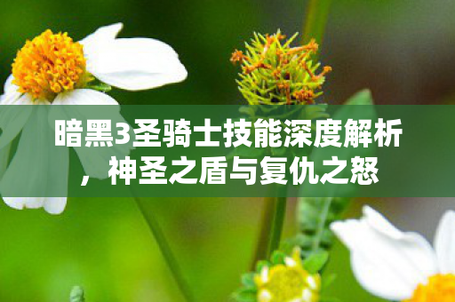 暗黑3圣骑士技能深度解析,神圣之盾与复仇之怒 暗黑3圣骑士技能深度解析,神圣之盾与复仇之怒