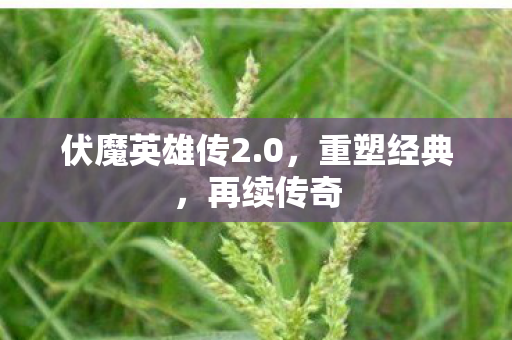 伏魔英雄传2.0,重塑经典,再续传奇 伏魔英雄传2.0,重塑经典,再续传奇