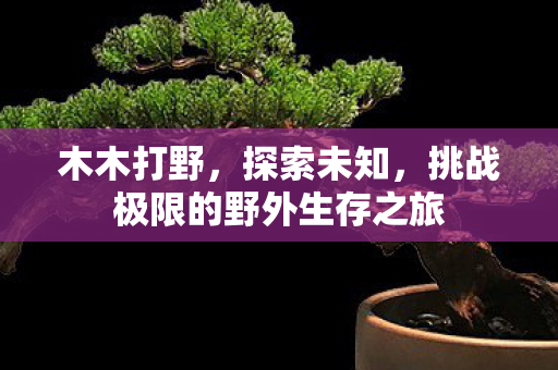 木木打野,探索未知,挑战极限的野外生存之旅 木木打野,探索未知,挑战极限的野外生存之旅