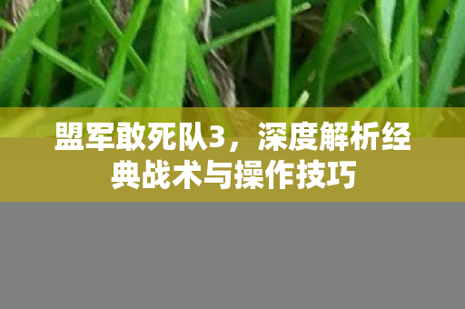盟军敢死队3,深度解析经典战术与操作技巧 盟军敢死队3,深度解析经典战术与操作技巧