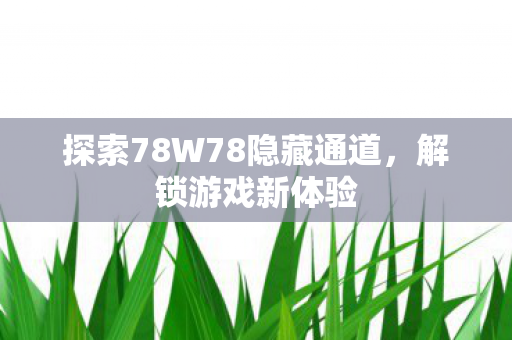 探索78W78隐藏通道,解锁游戏新体验 探索78W78隐藏通道,解锁游戏新体验