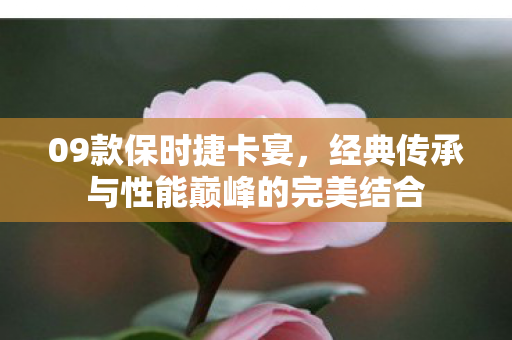 09款保时捷卡宴,经典传承与性能巅峰的完美结合 09款保时捷卡宴,经典传承与性能巅峰的完美结合