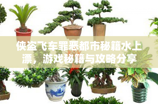 侠盗飞车罪恶都市秘籍水上漂,游戏秘籍与攻略分享 侠盗飞车罪恶都市秘籍水上漂,游戏秘籍与攻略分享