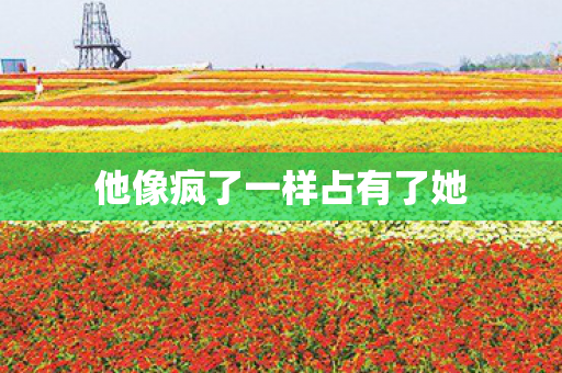 他像疯了一样占有了她 他像疯了一样占有了她