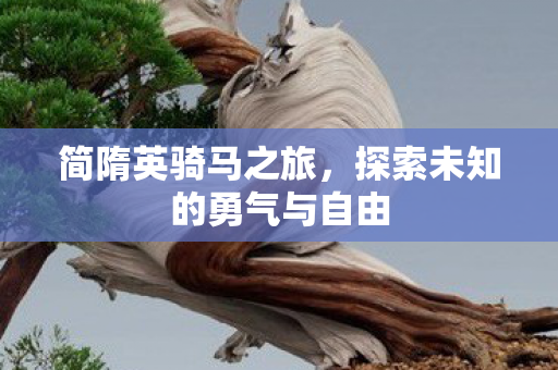 简隋英骑马之旅,探索未知的勇气与自由 简隋英骑马之旅,探索未知的勇气与自由