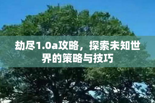 劫尽1.0a攻略,探索未知世界的策略与技巧 劫尽1.0a攻略,探索未知世界的策略与技巧