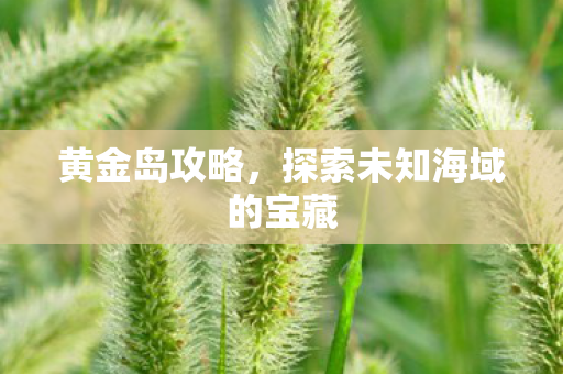 黄金岛攻略,探索未知海域的宝藏 黄金岛攻略,探索未知海域的宝藏