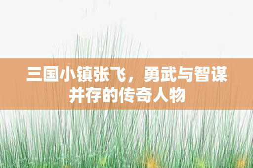 三国小镇张飞,勇武与智谋并存的传奇人物 三国小镇张飞,勇武与智谋并存的传奇人物