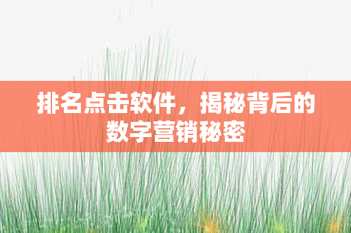 排名点击软件,揭秘背后的数字营销秘密 排名点击软件,揭秘背后的数字营销秘密