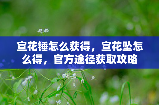 宣花锤怎么获得,宣花坠怎么得,官方途径获取攻略 宣花锤怎么获得,宣花坠怎么得,官方途径获取攻略