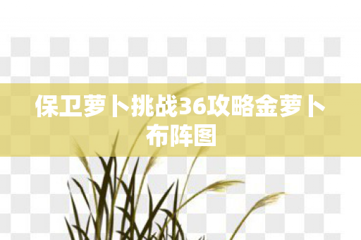 保卫萝卜挑战36攻略金萝卜布阵图 保卫萝卜挑战36攻略金萝卜布阵图