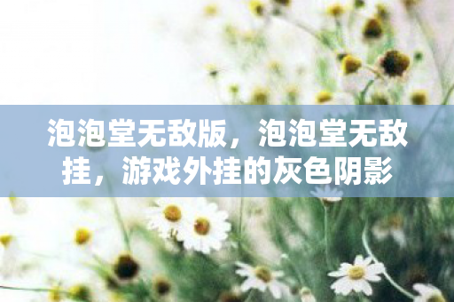 泡泡堂无敌版,泡泡堂无敌挂,游戏外挂的灰色阴影 泡泡堂无敌版,泡泡堂无敌挂,游戏外挂的灰色阴影