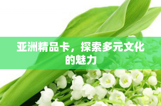 亚洲精品卡,探索多元文化的魅力 亚洲精品卡,探索多元文化的魅力