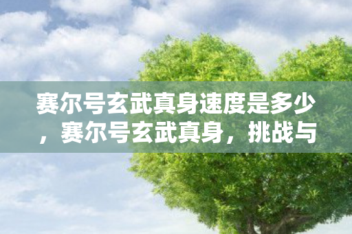 赛尔号玄武真身速度是多少,赛尔号玄武真身,挑战与探索的传奇之旅 赛尔号玄武真身速度是多少,赛尔号玄武真身,挑战与探索的传奇之旅