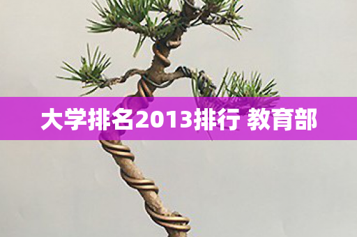 大学排名2013排行 教育部 大学排名2013排行 教育部