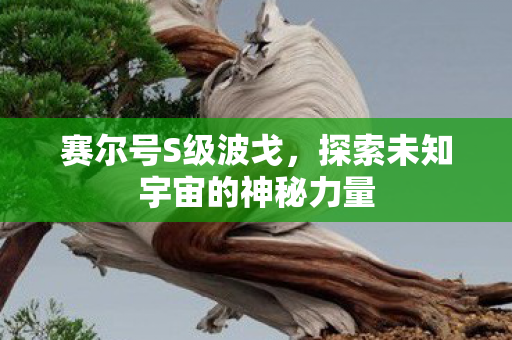 赛尔号S级波戈，探索未知宇宙的神秘力量