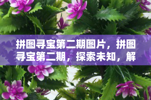 拼图寻宝第二期图片,拼图寻宝第二期,探索未知,解锁宝藏 拼图寻宝第二期图片,拼图寻宝第二期,探索未知,解锁宝藏