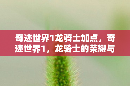 奇迹世界1龙骑士加点,奇迹世界1,龙骑士的荣耀与冒险 奇迹世界1龙骑士加点,奇迹世界1,龙骑士的荣耀与冒险