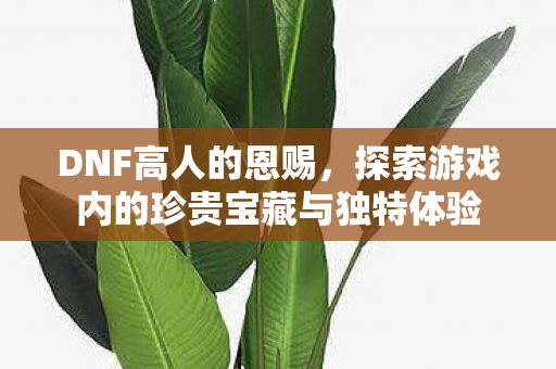 DNF高人的恩赐,探索游戏内的珍贵宝藏与独特体验 DNF高人的恩赐,探索游戏内的珍贵宝藏与独特体验