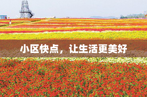 小区快点,让生活更美好 小区快点,让生活更美好